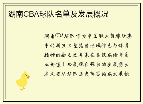 湖南CBA球队名单及发展概况