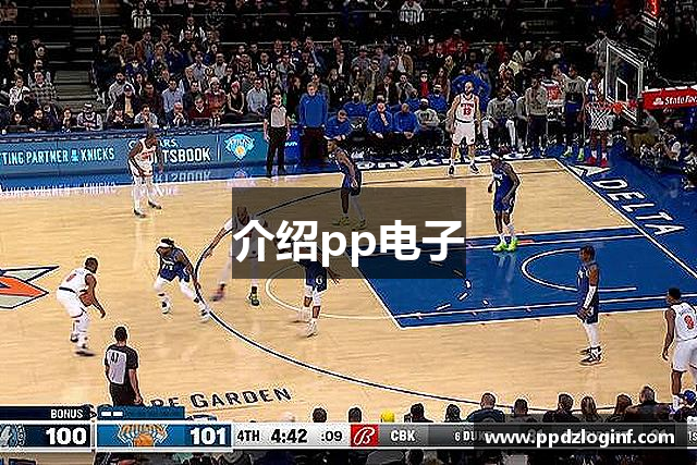 介绍pp电子